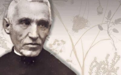 Baltasar Merino